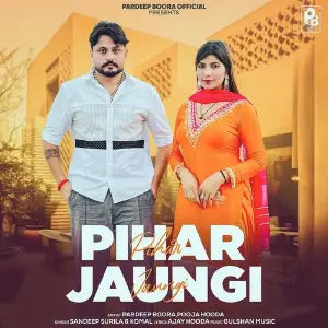 Pihar Jaungi image