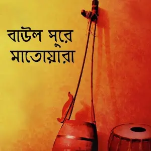 Baul Shure Matoara image