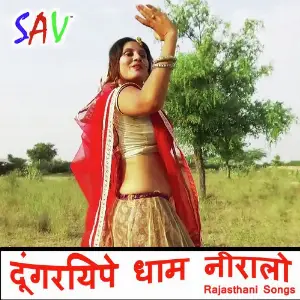 Dungariya Par Dhaam Niralo image