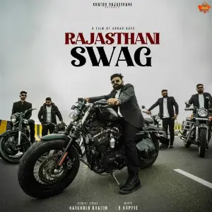 Rajasthani Swag image