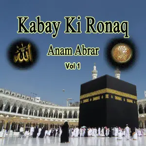 Kabay Ki Ronaq, Vol. 1 image