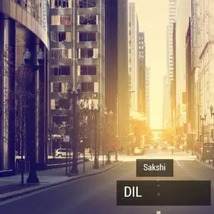 Dil image