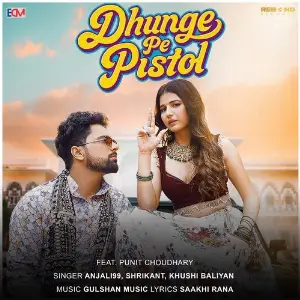 Dhunge Pe Pistol (feat. Punit Choudhary) image