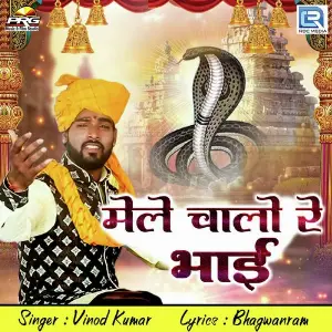 Mele Chalo Re Bhai image