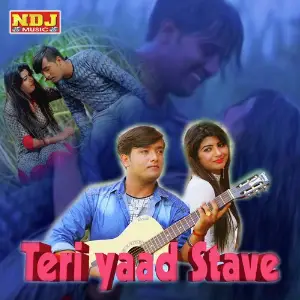 Teri Yaad Satave image