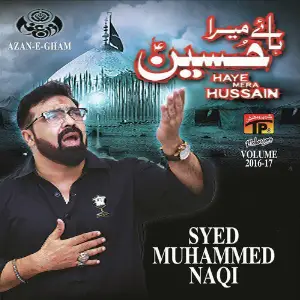 Haye Mera Hussain, Vol. 2016 - 17 image