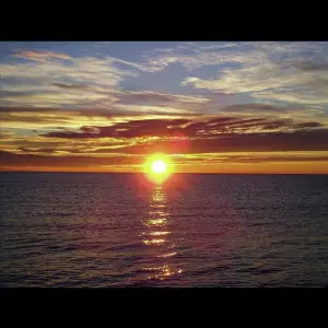 You Are My Sunshine image