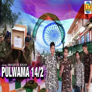 Pulwama 14 2 image