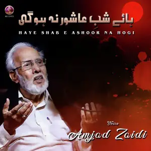 Haye Shab E Ashoor Na Hogi - Single image