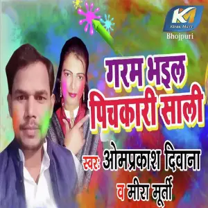 Garm Bhail Pichkari Sali image