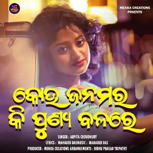 Keun Janamara Ki Punya Bala Re image