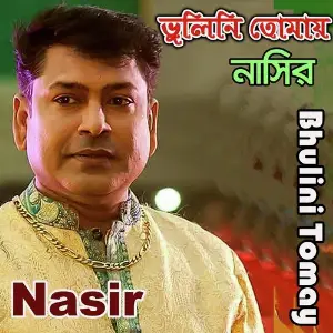 Bhulini Tomay image