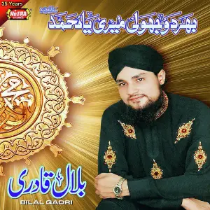 Bhardo Jholi Meri Ya Muhammad image