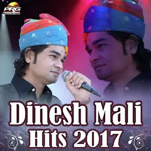 Dinesh Mali Hits 2017 image
