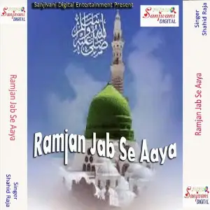 Ramjan Jab Se Aaya image