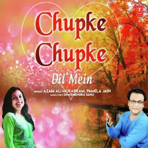 Chupke Chupke Dil Mein image
