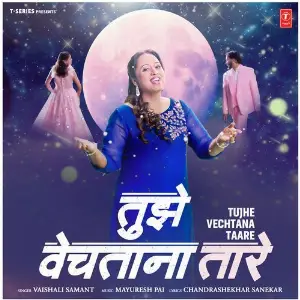 Tujhe Vechtana Taare image