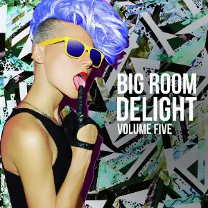 Big Room Delight, Vol. 5 image