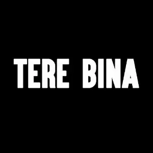 Tere Bina image