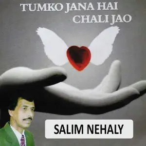 Tumko Jana Hai Chali Jao Salim Nehaly