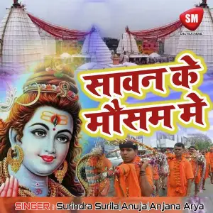 Sawan Ke Mausam Me image