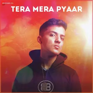 Tera Mera Pyaar image