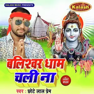 Balishwar Dham Chali Na image