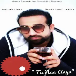 Tu Naa Aya image