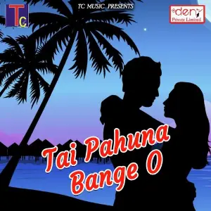 Tai Pahuna Bange O image