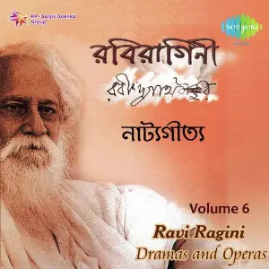 Ravi Ragini Vol. 6 From Dramas And Operas image