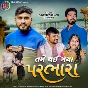 Tame Thai Gaya Parbhara image