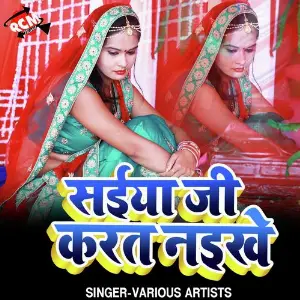 Saiya Ji Karat Naikhe image