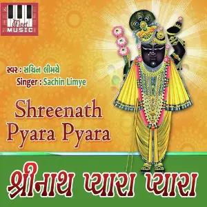 Shreenath Pyara Pyara image