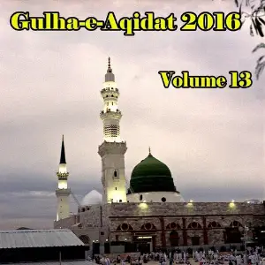 Gulha-e-Aqidat 2016, Vol. 13 image