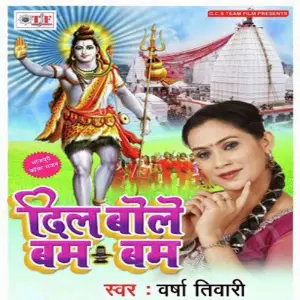 Dil Bole Bam Bam image