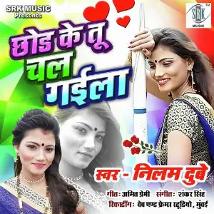 Chhod Ke Tu Chal Gaila image