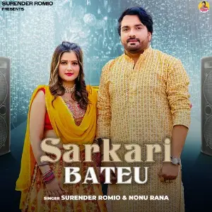 Sarkari Bateu image