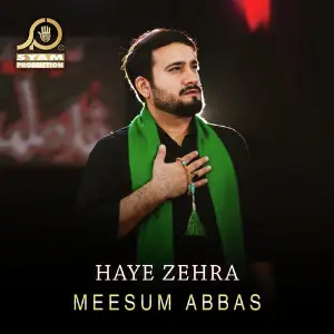 Haye Zehra - Single image