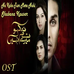 Na Kaho Tum Mere Nahi (From Na Kaho Tum Mere Nahi) image