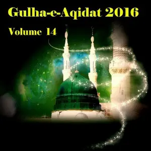 Gulha-e-Aqidat 2016, Vol. 14 image