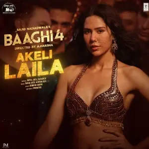 Akeli Laila (From Baaghi 4) image