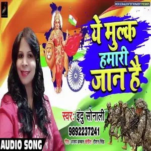 Ye Mulk Hamari Jaan Hai image