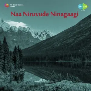 Naa Niruvude Ninagaagi image
