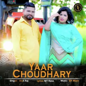 Yaar Choudhary image