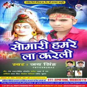 Somari Hamre La Kareli image