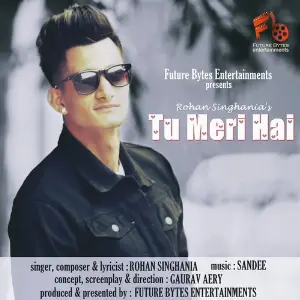 Tu Meri Hai image