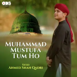 Muhammad Mustufa Tum Ho - Single image