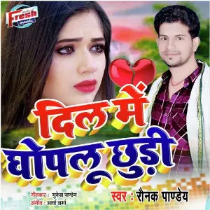 Dil Me Ghopalu Chhudi Ho image