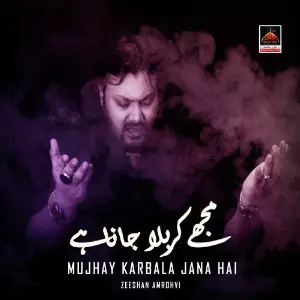 Mujhay Karbala Jana hai image