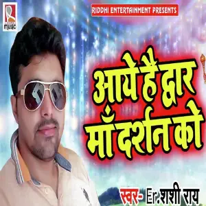 Aaye Hai Dwar Maa Darshan Ko image